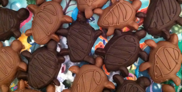 Caramel Turtle Party Favors